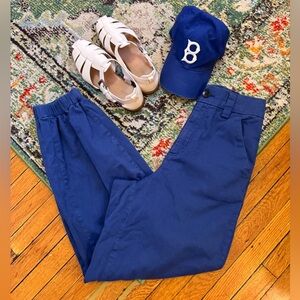 BDG Royal Blue Pants